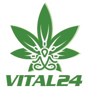 Logo Vital24.org