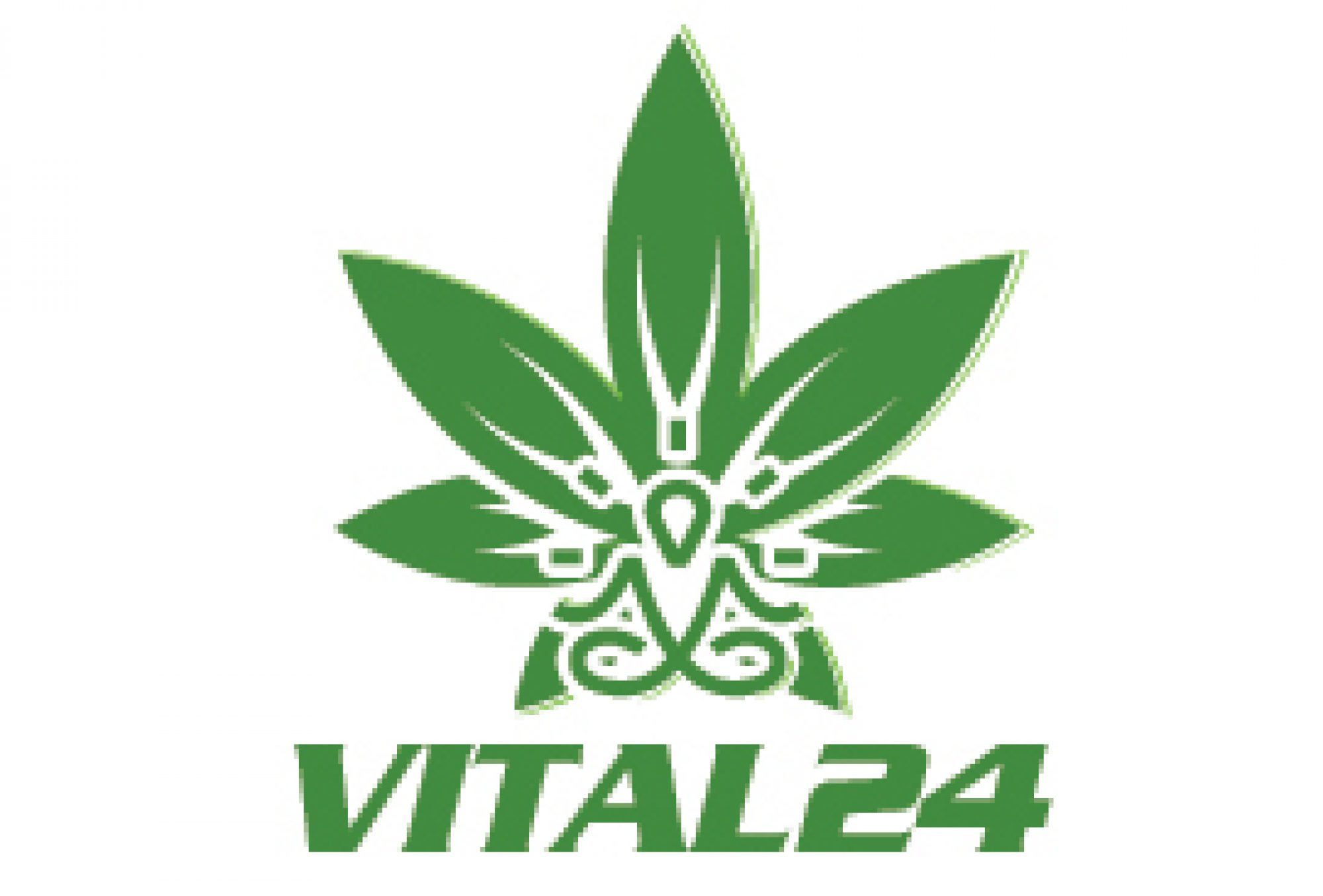 Grünes Vital24-Logo mit einem stilisierten Cannabisblatt mit einem abstrakten, symmetrischen Design in der Mitte, das möglicherweise ein Gesicht oder eine Maske darstellt. Der Text „VITAL24“ steht in fetten grünen Buchstaben unter dem Blatt. Der Hintergrund ist weiß.