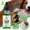Eine Flasche Vital24 CBD Öl 5 % mit 30 ml für Tiere (Hunde, Katzen, Kaninchen, Pferde) – Hanföl, mit Bildern eines Hundes, einer Katze, eines Kaninchens und zweier Kinder, die Haustiere halten. Der Text lautet „Markenprodukt geprüfte Qualität“ und „Für alle Tiere geeignet.“ Der Hintergrund mit Herbstblättern zeigt glückliche Haustiere neben Vital24 CBD-Öl für ihr Wohlbefinden.