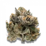 Nahaufnahme einer dichten, mit Trichomen bedeckten Cannabisblüte mit einer Mischung aus grünen, orangen und violetten Farbtönen, die ihr frostiges, kristallartiges Aussehen auf schwarzem Hintergrund zeigt. Diese besondere Sorte ist Tropical Cookies – 7 x feminisierte (weibliche) Cannabissamen.