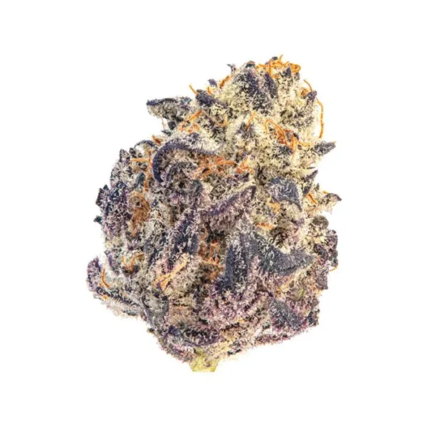 Eine Nahaufnahme eines Cherry Mac Muffin – 7 x feminisierte (weibliche) Cannabissamen auf weißem Hintergrund. Die dichte Blüte weist eine Mischung aus violetten, orangen und grünen Farbtönen auf und ist mit einer Schicht weißer, kristallartiger Trichome überzogen, die ihr ein frostiges Aussehen verleihen.