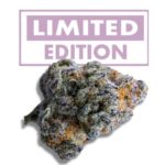 Ein dichter Cannabisklumpen mit violetten und orangen Farbtönen ist vor einem weißen Hintergrund zu sehen. Dahinter befindet sich ein violettes Rechteck mit dem Text „LIMITED EDITION“ in Weiß, was auf die Exklusivität dieser besonderen Sorte Platinum Mimosa Cookies - 7 x Automatic feminisierte (weibliche) Cannabis Samen hinweist.