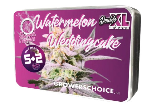Ein rechteckiger Metallbehälter mit dem Bild einer Cannabispflanze. Der Text auf dem Behälter lautet „Watermelon Weddingcake Double XL Autoflower“ mit einem Werbeschild „Kaufen Sie 5, erhalten Sie 2 gratis 5+2“. Das Logo von GrowersChoice.nl wird unten angezeigt.