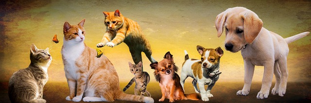 Eine lebhafte Szene mit drei Katzen und vier Hunden vor einem Sonnenuntergangshimmel. Zwei Katzen, eine sitzt mit Schmetterlingen und eine andere springt, während ein Kätzchen zwischen ihnen steht. Auf der rechten Seite stehen ein großer Welpe und drei kleine Hunde, darunter ein braun-weißer Chihuahua, zusammen.
