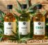 unterschied hanföl und hanfsamenöl sowie cbd öl